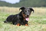 BEAUCERON 436